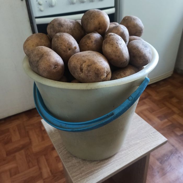 Продам картофель едовой 2000 тг