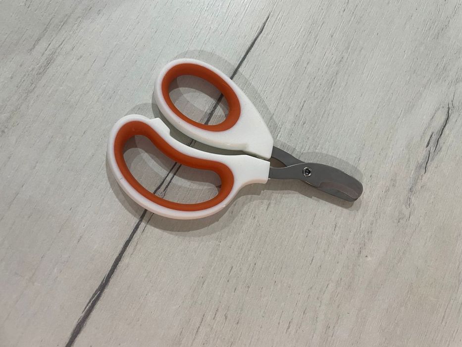 Кошка отдадим в хорошие руки