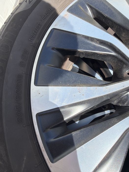 Roti vara Aclass, Cla 2019>