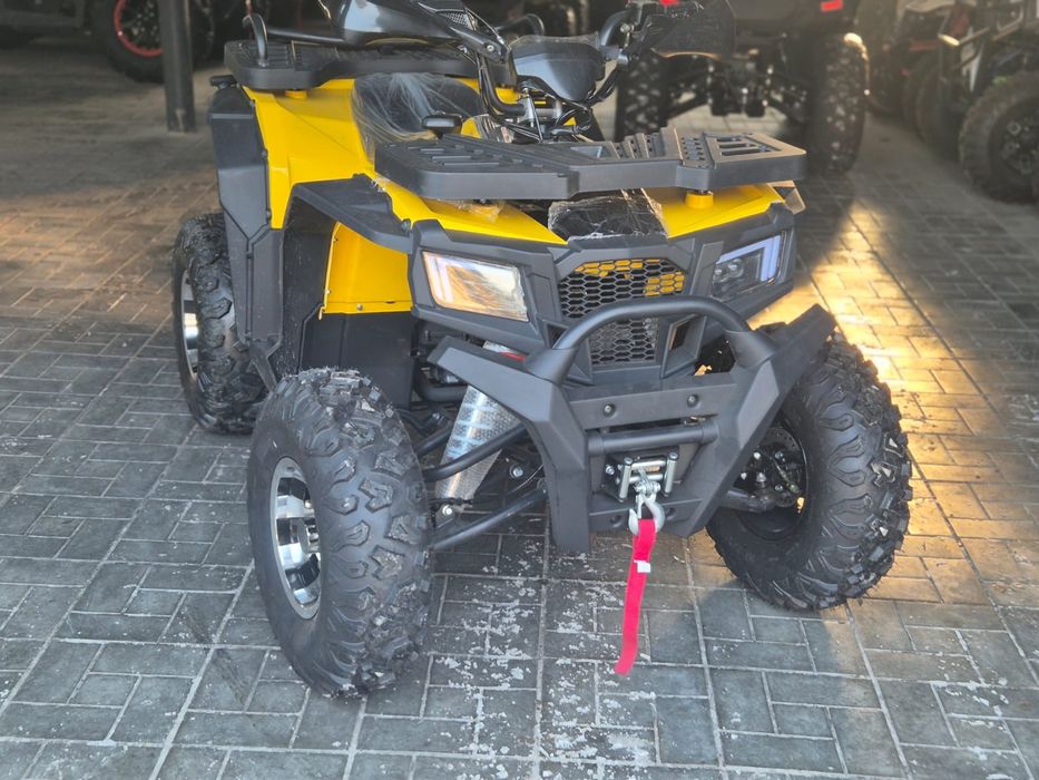 Квадроцикл викинг 250 про