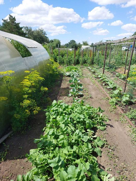 Продаётся дача, Федоровка