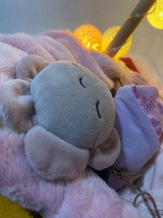 Coșulet cadou nou-nascuți