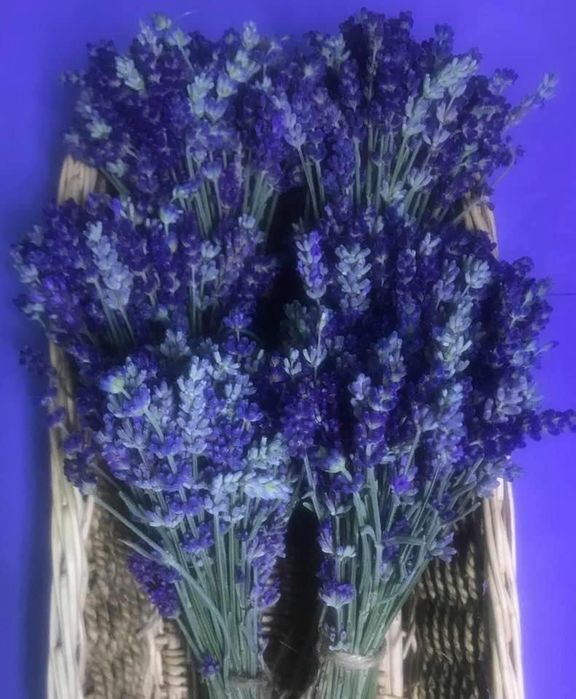 Perna cu lavanda, sapun, apa si ulei de lavanda, flori uscatde lavanda
