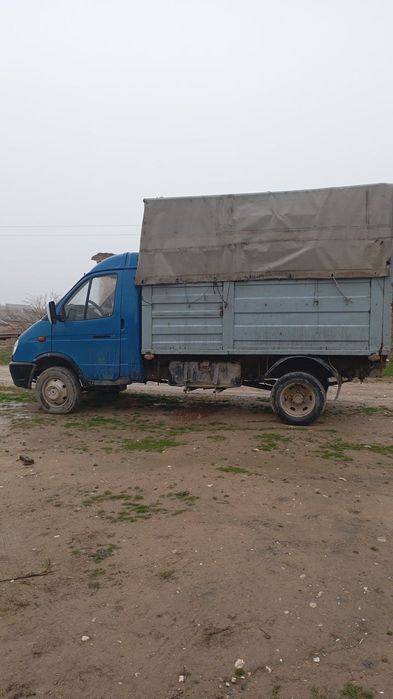 Gazel yili 2000 xolati yaxshi