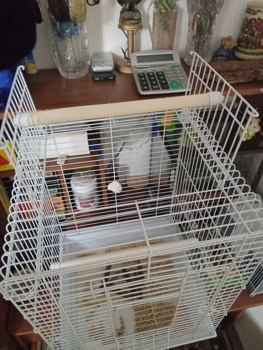 Клетка для декоративных птиц.