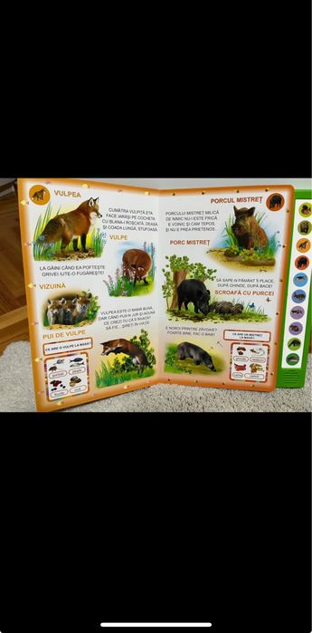 Carte sonora Vocile padurii