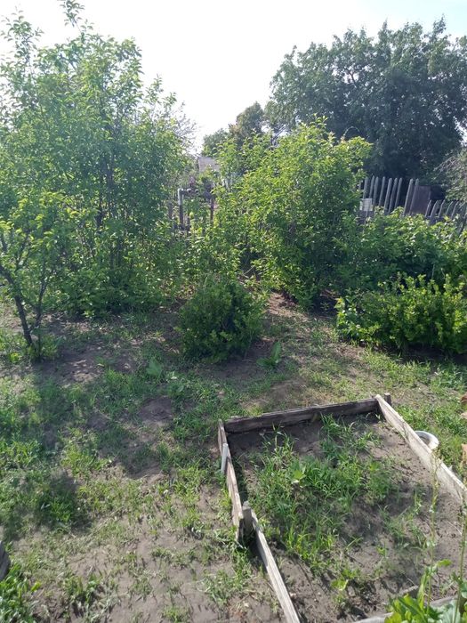 Продам дачу в СО Автомобилист