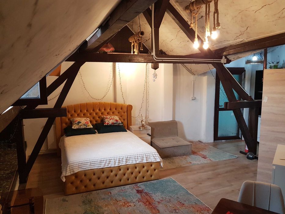 Aartament 5 camere de inchiriat in vila et 2, Parc Carol, Unirii