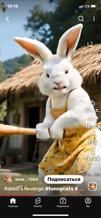 Tajribali oboi va Malyar ustalar xizmati