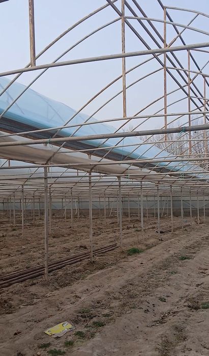 Теплица 1 соттық құрып беруімен