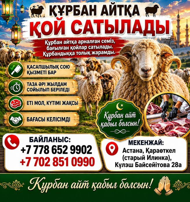 Құрбан айтқа қой сатылады