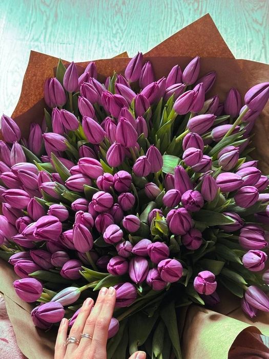 Тюльпаны 8 марта Рудный