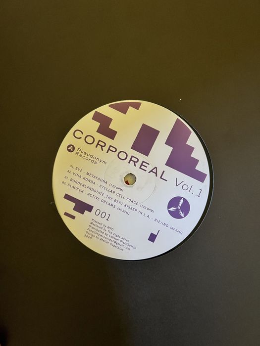 Vinyl uri House/Electronica
