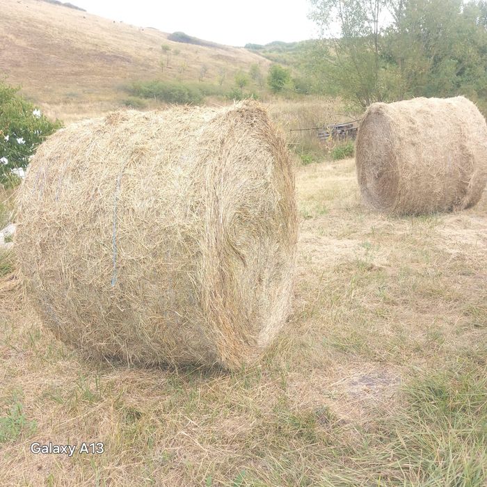 Vînd baloti rotunzi fin finețe 150x150 in jur 450kgfinate