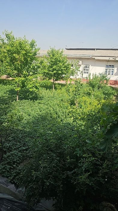 Sergeli tumani Xon Saroy mehmonxonasi yonida