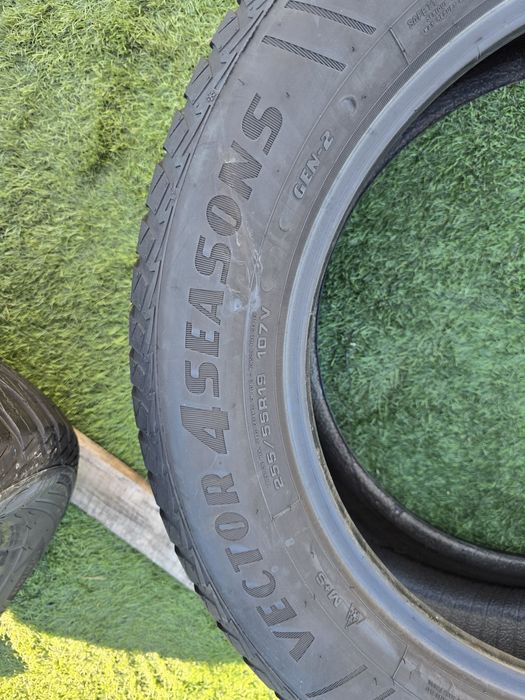 225 55 19 goodyear all seasson