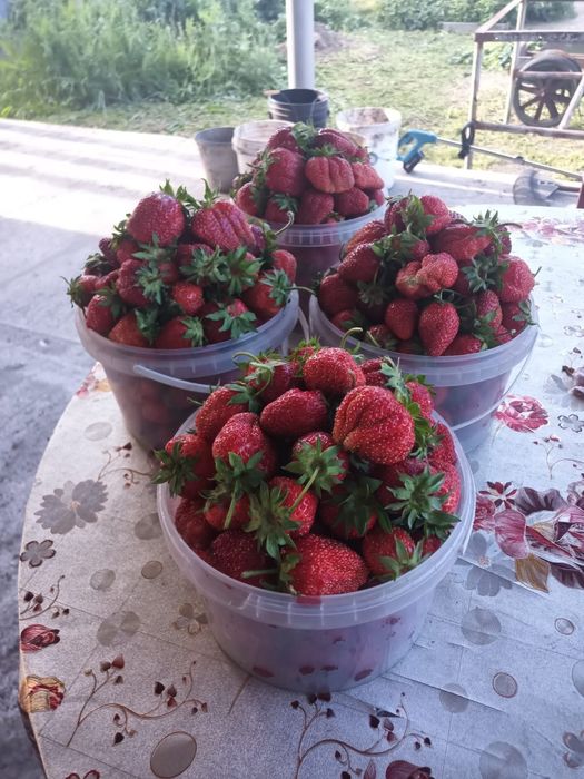 Продам варенье клубничное