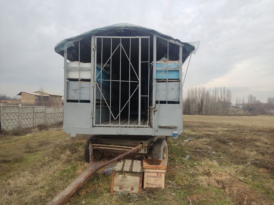 Asal ari prisepti sotiladi