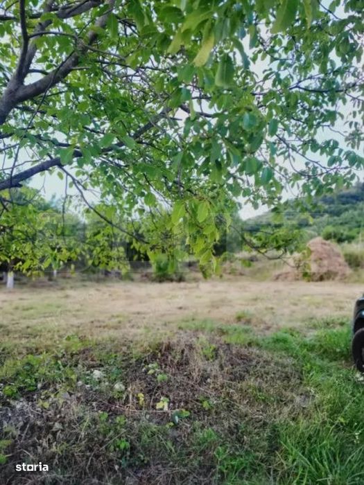 Teren intravilan de 15 ari – Valea Jelnei, str. Campului