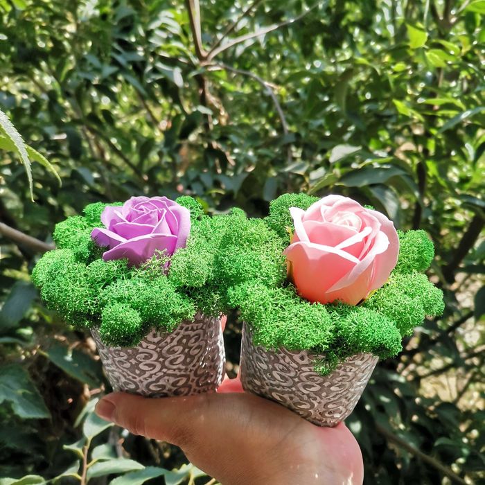 Пана с естествен скандинавски мъх