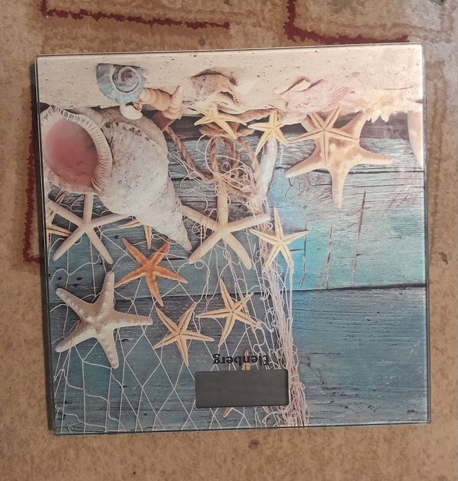 Весы напольные Elenberg