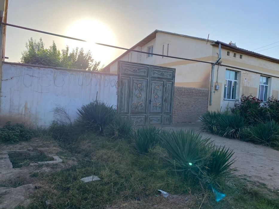 Surxondaryo viloyati Angor tumani Yangi shahar to'yxonasi yaqinida