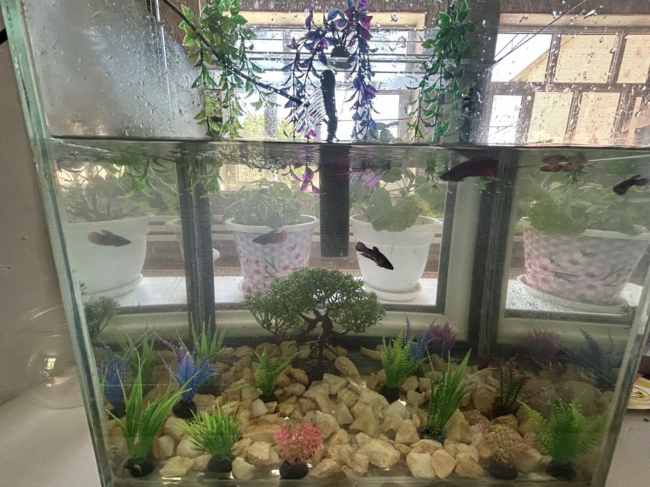 Аквариюм сатылады