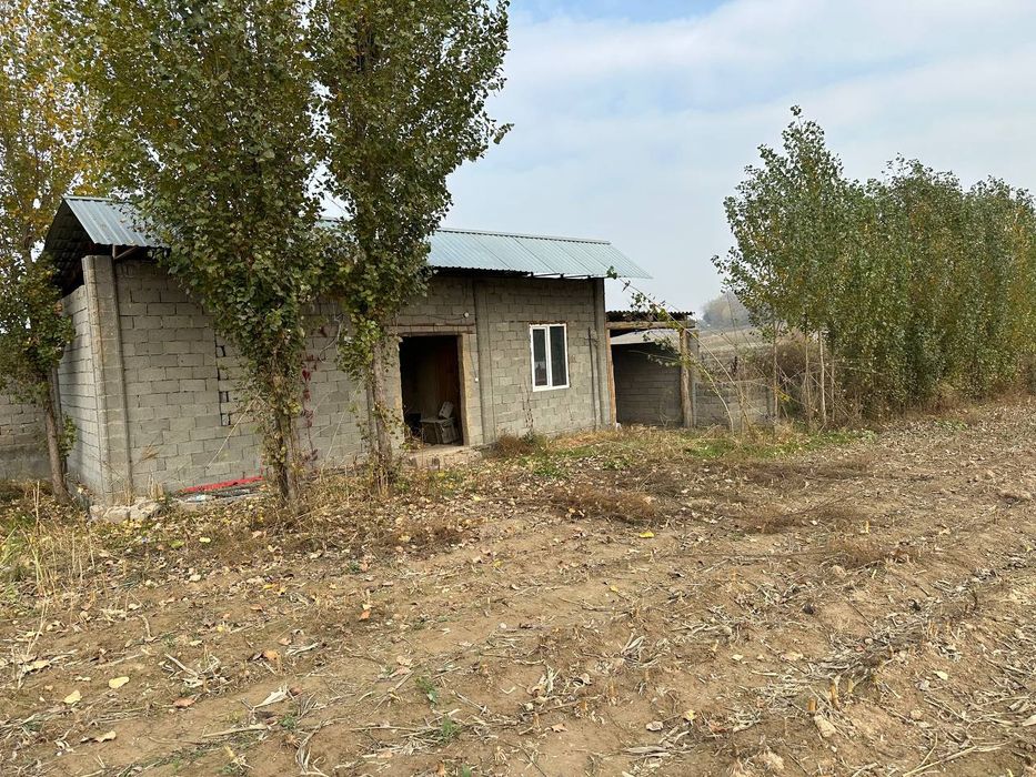 Yangi yul tumani Mirzo Ulugbek mfy Nurziyo kuchasi 12 sotix dakumintda