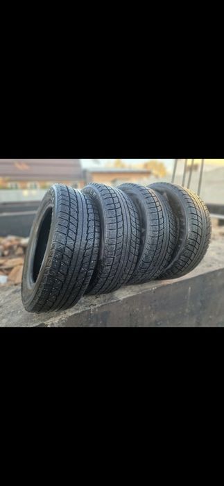 Зимние шины Triangle