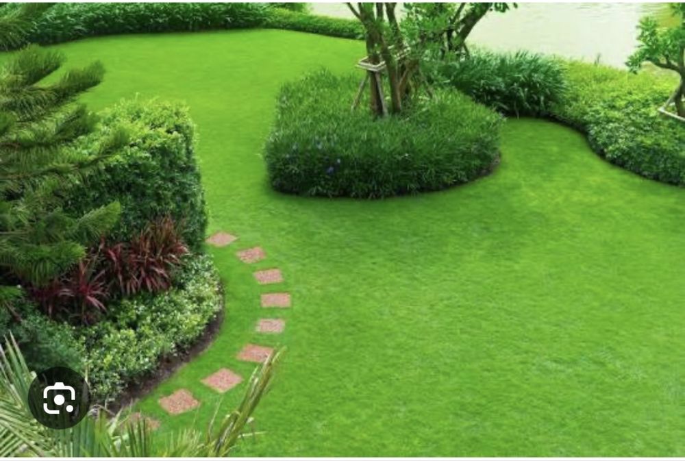 Gazon rulou livrat direct la tine - Verde instant in gradina