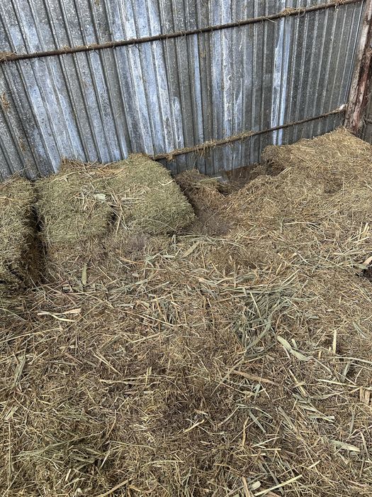 Бірінші орым шөп шашылған