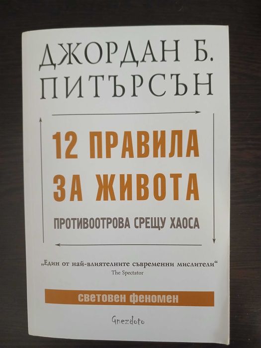 12 Правила за Живота, Джордан Питърсън