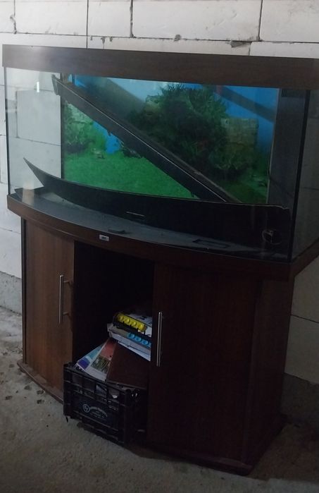 Juwel Vision 260