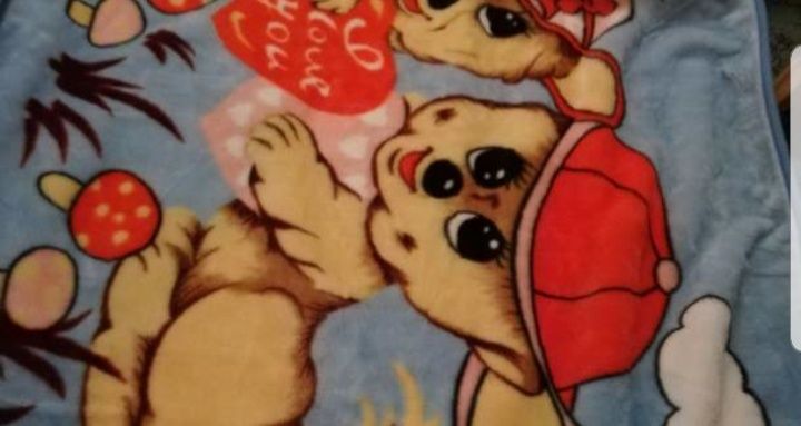 Продам детский плед.