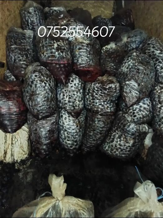 Prune pentru țuică