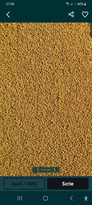 Semințe de lucernă, trifoi, ghizdei,trifoi roșu reîncărcat...