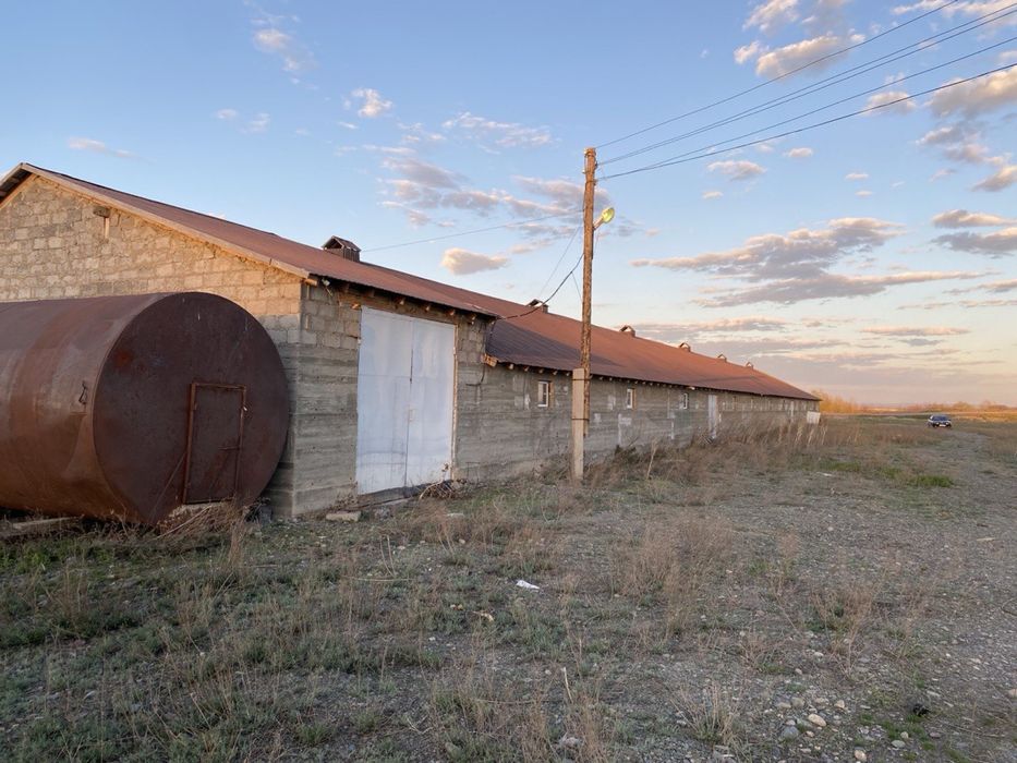 Откорм Мал бордақы