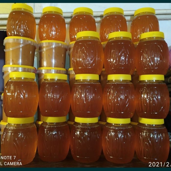 ПОДСОЛНУХОВЫЙ мёд вкусный + иммунитет даёт