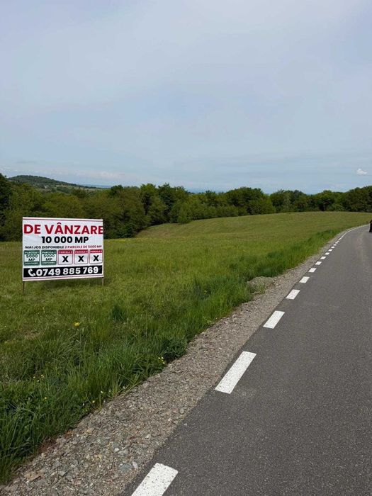Teren de vanzare-SINTEU la drum asfaltat-peisaj deosebit langa padure -disponibile 2 parcele x 5000 mp