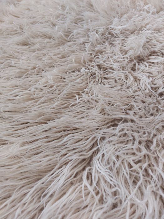 Аша китеник губер халище