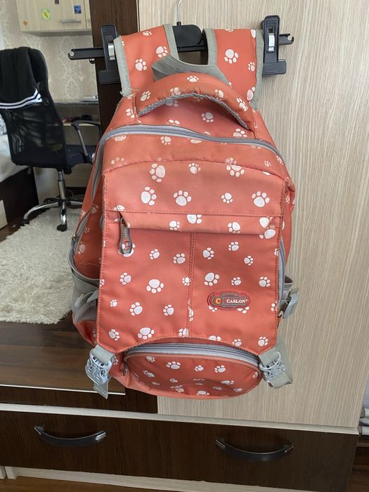 Ghiozdan pentru scoala