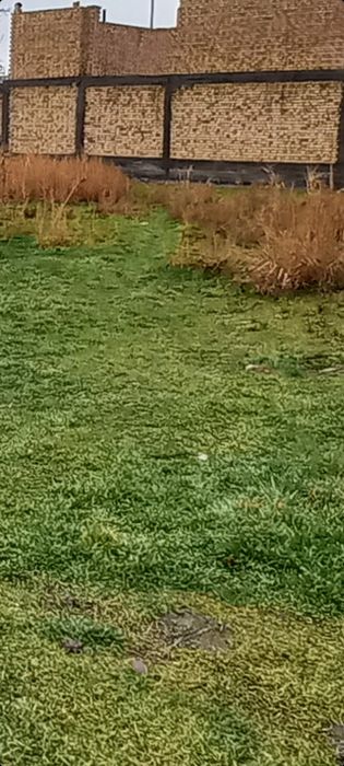 Сурум Куйчирчикский район земля 20 соток.