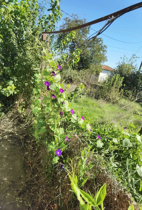 Продава се Къща в с. Божурово, Област Добрич - 120 кв.м за 77 €/кв.м - Снимка #14