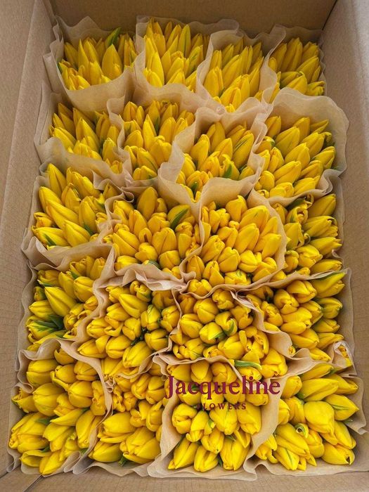 Премиальные местные тюльпаны оптом