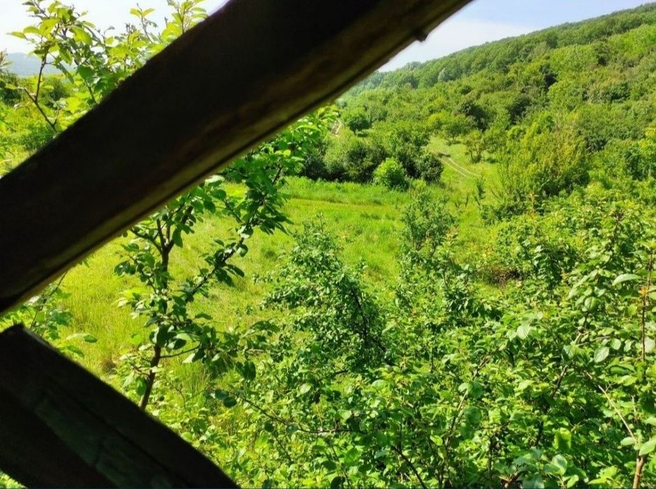 Teren intravilan Capul Piscului Merișani 500-1700 mp