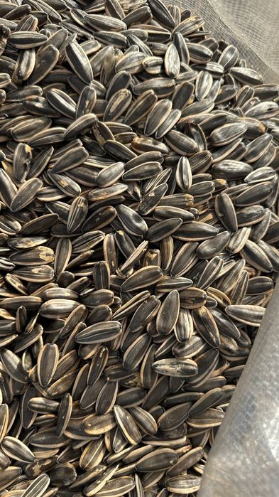 Семечки крупные...