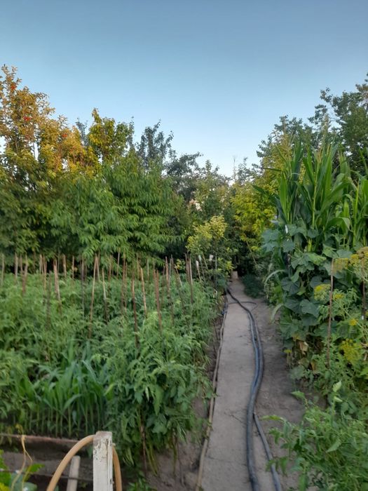 Продается дом в хорошем районе