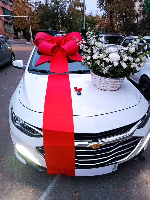 Avtobantik moshinaga, бант на машину, bantik lenta Мед городок