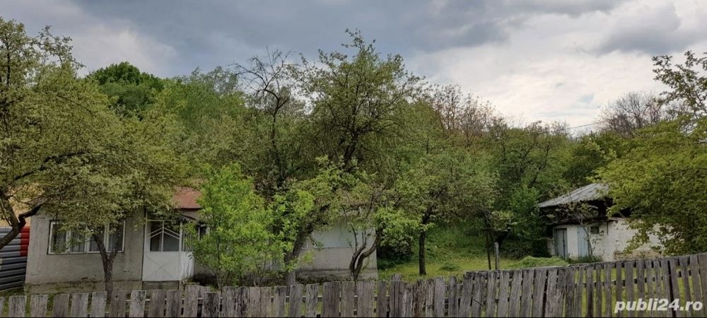 Casa 4 camere + Teren Intravilan 5574m ²