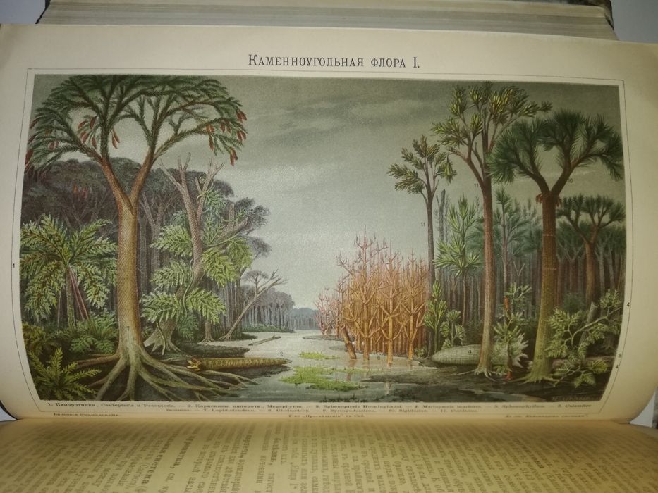 Энциклопедический словарь Южакова. Том 10